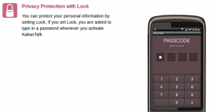 Fitur Privacy Lock