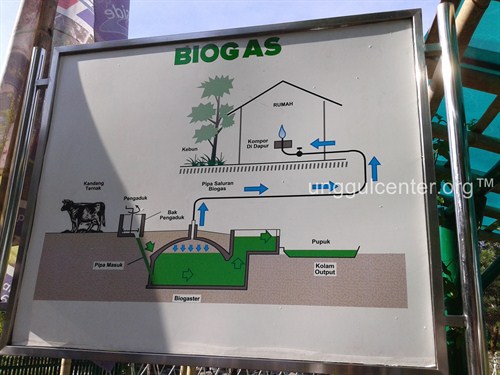 Biogas