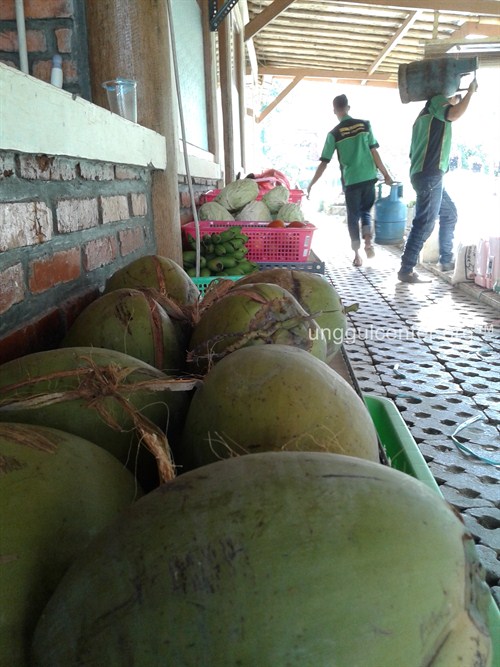 Resto yang asyik untuk lesehan, sekaligus supply makanan sehari-hari untuk yang gath