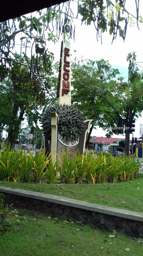 Davao kota Durian Philippines