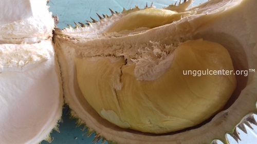 durian davao