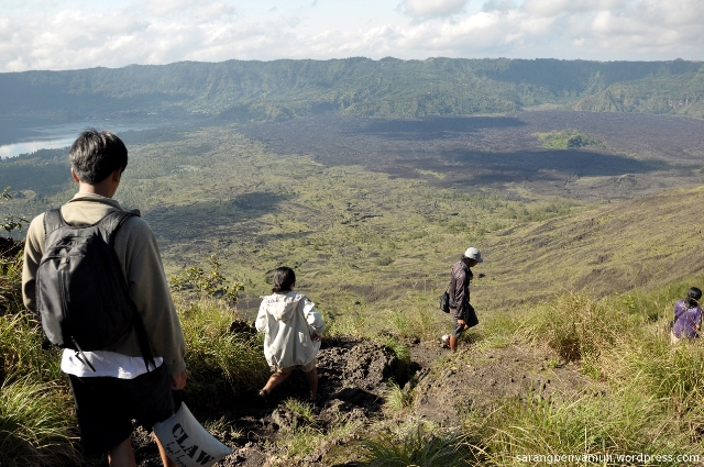 sarangpenyamun-wordpress-com-Jangan-gunung-1