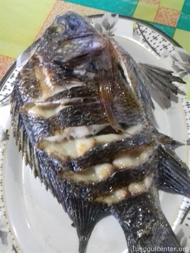 ikan mujair lagi ah!