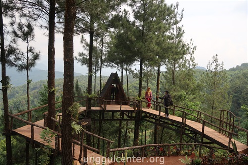 rumah pohon pabangbon